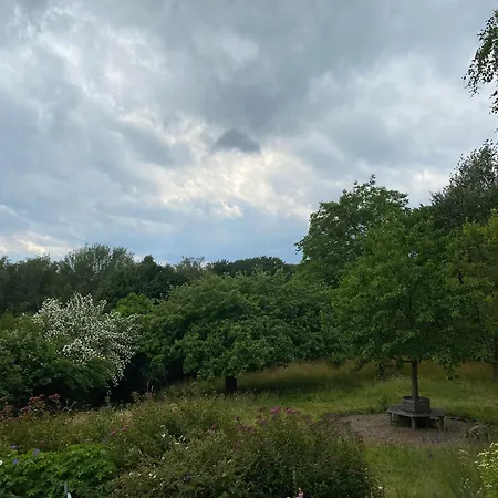 Gruene Oase Unweit Von Koeln Rösrath