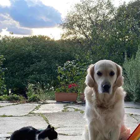 Δωμάτια σε οικογενειακή κατοικία Gruene Oase Unweit Von Koeln *