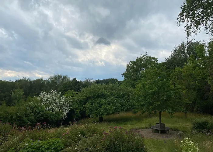 Gruene Oase Unweit Von Koeln Rosrath