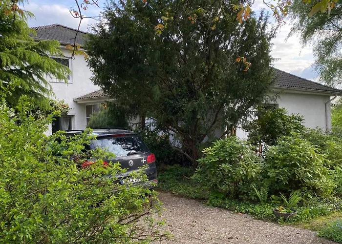 Gruene Oase Unweit Von Koeln