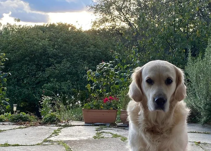 Homestay Gruene Oase Unweit Von Koeln *