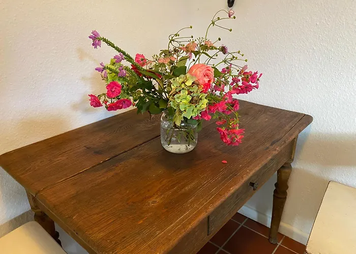 Gruene Oase Unweit Von Koeln